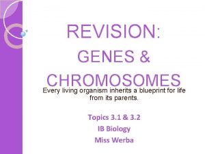 REVISION GENES CHROMOSOMES Every living organism inherits a