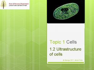 Topic 1 Cells 1 2 Ultrastructure of cells