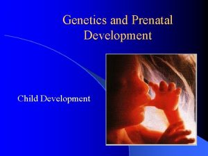 Genetics and Prenatal Development Child Development A Genetics