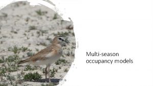 Multiseason occupancy models Did they stay or did