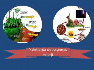 Yaktlarda depolanm enerji Yaktlar nelerdir ve nasl oluur