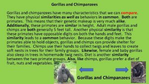 Gorillas and Chimpanzees Gorillas and chimpanzees have many