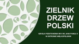 ZIELNIK DRZEW POLSKI SZKOA PODSTAWOWA NR 9 IM