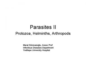 Parasites II Protozoa Helminths Arthropods Meral Snmezolu Assoc