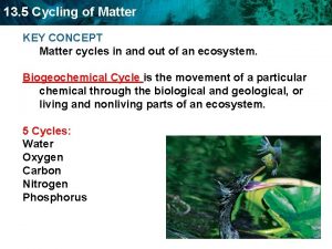 13 5 Cycling of Matter KEY CONCEPT Matter