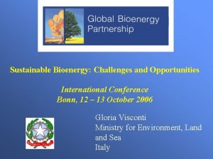 Sustainable Bioenergy Challenges and Opportunities International Conference Bonn