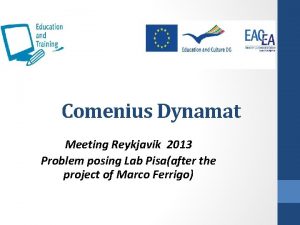 Comenius Dynamat Meeting Reykjavik 2013 Problem posing Lab