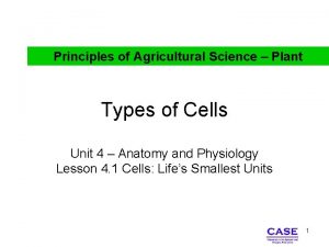 Principles of Agricultural Science Plant Types of Cells