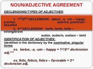 NOUNADJECTIVE AGREEMENT DECLENSIONSTYPES OF ADJECTIVES 1 1 ST2