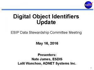 Digital Object Identifiers Update ESIP Data Stewardship Committee