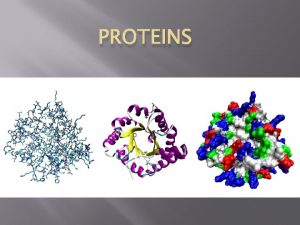 PROTEINS Monomer Amino Acids Amino Acids 20 different