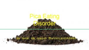 Pica Eating Disorder By Ismar Irie Joaquin Brannon