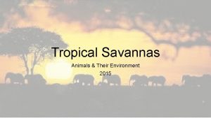 Tropical Savannas Animals Their Environment 2015 General Overview