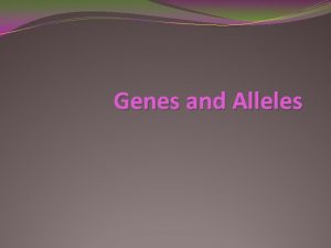 Genes and Alleles Genes DNA in chromosomes have