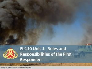 FI110 Unit 1 Roles and Responsibilities of the