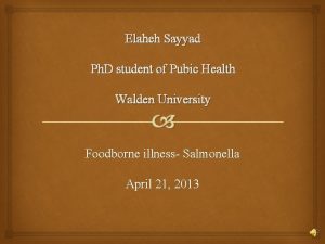 Elaheh Sayyad Ph D student of Pubic Health