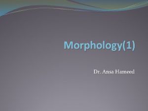 Morphology1 Dr Ansa Hameed Previously Phonology CoArticulation Effects