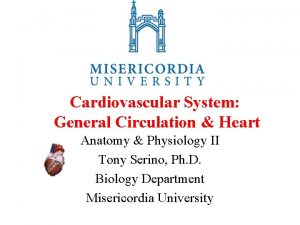 Cardiovascular System General Circulation Heart Anatomy Physiology II