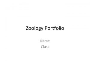 Zoology Portfolio Name Class Background What is Zoology