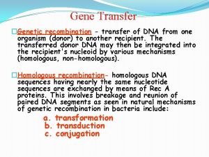 Gene Transfer Genetic recombination transfer of DNA from