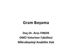 Gram Boyama Do Dr Arzu FINDIK OM Veteriner