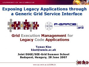 Exposing Legacy Applications through a Generic Grid Service