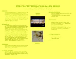 EFFECTS OF EUTROPHICATION ON ALGAL GENERA Jonathan Hutson