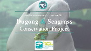 Global Communication Proposal for GEF Dugong Seagrass Conservation