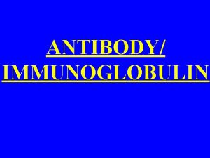 ANTIBODY IMMUNOGLOBULIN Antibody structure 1 Antibodies belong to