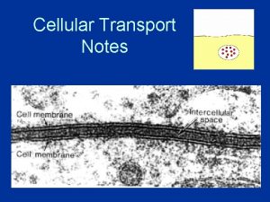 Cellular Transport Notes About Cell Membranes 1 All