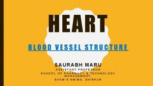 HEART BLOOD VESSEL STRUCTURE SAURABH MARU ASSISTANT PROFESSOR