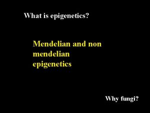 What is epigenetics Mendelian and non mendelian epigenetics