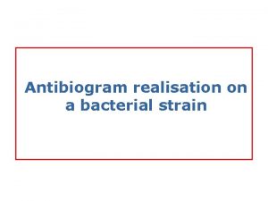 Antibiogram realisation on a bacterial strain Materials avalaible