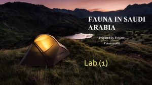 FAUNA IN SAUDI ARABIA Prepared by lecturer Faten
