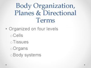 Body Organization Planes Directional Terms Organized on four