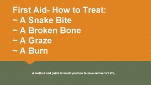 First Aid How to Treat A Snake Bite