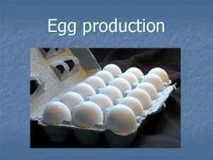 Egg production Egg Production Laying Egg Production Collection