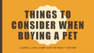 THINGS TO CONSIDER WHEN BUYING A PET LAUREL