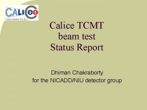 Calice TCMT beam test Status Report Dhiman Chakraborty