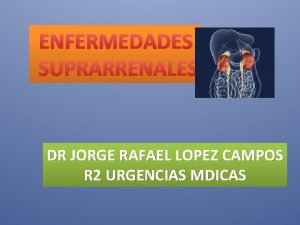 ENFERMEDADES SUPRARRENALES DR JORGE RAFAEL LOPEZ CAMPOS R