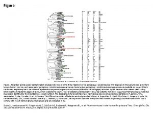 Figure Neighborjoining JukesCantor model phylogenetic tree of an