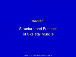 Chapter 3 Structure and Function of Skeletal Muscle