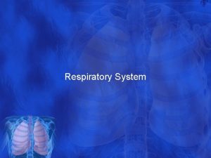 Respiratory System The Respiratory System Nose pharynx larynx