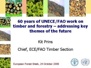 60 years of UNECEFAO work on timber and