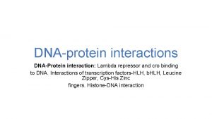 DNAprotein interactions DNAProtein interaction Lambda repressor and cro