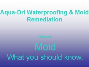 AquaDri Waterproofing Mold Remediation PRESENTS Mold What you