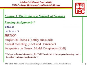 Michael Arbib and Laurent Itti CS 564 Brain