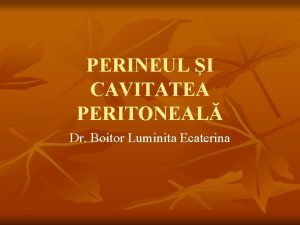 PERINEUL I CAVITATEA PERITONEAL Dr Boitor Luminita Ecaterina