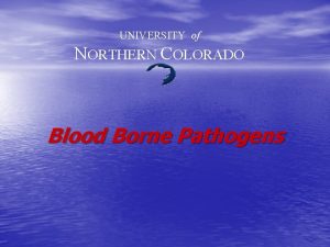 UNIVERSITY of NORTHERN COLORADO Blood Borne Pathogens How