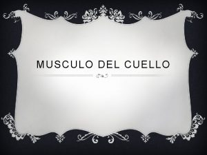 MUSCULO DEL CUELLO Origen msculo alargado y a